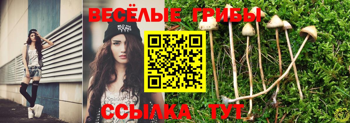 Галлюциногенные грибы Cubensis Заинск