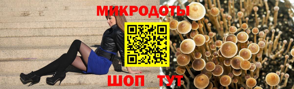 Заинск  Галлюциногенные грибы Cubensis  Вход с VPN 